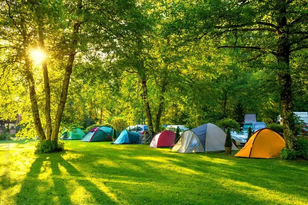 tents camping area early morning with sunshine stockpack adobe stock jpg transformed