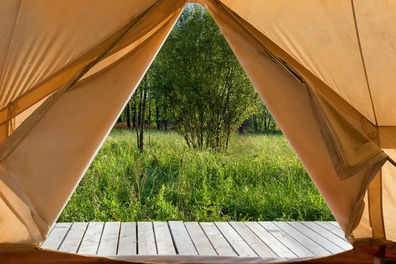 view from the canvas tent upon the green meadow stockpack adobe stock transformed resultat